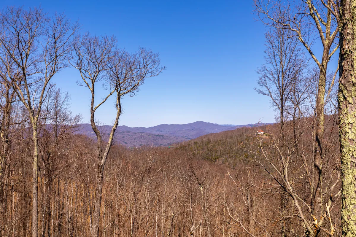 A tranquil view of bare trees set against a dramatic mountain range beneath a clear blue sky. The wide open space reflects the untouched beauty of the mountain surroundings, ideal for hiking, walking, and on-leash adventures.